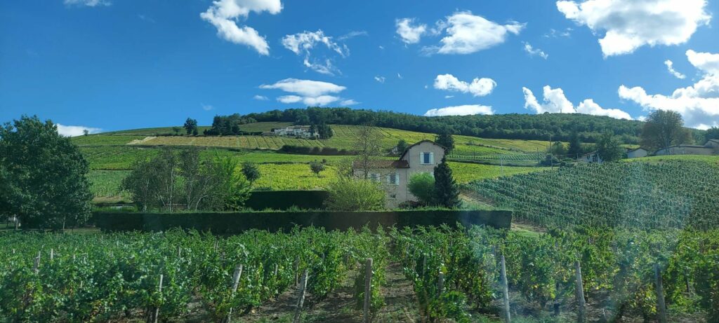 Laura Magagna visitant les vignobles de la région de Lyon en France et