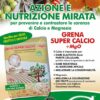 Accion y nutricion dirigida con Grena SuperCalcio 2MgO Fertilizante