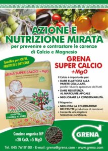 Accion y nutricion dirigida con Grena SuperCalcio 2MgO Fertilizante