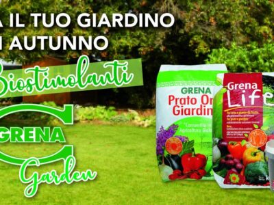 Dopo lo stress dellestate il giardino perde parte della sua