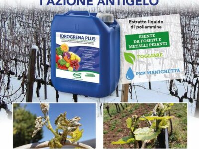 LATE FROSTS idrogrenaplus n8 is a remedy for environmental adversities
