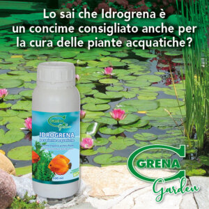 Did you know thatIDROGRENA is an organic liquid fertilizer rich