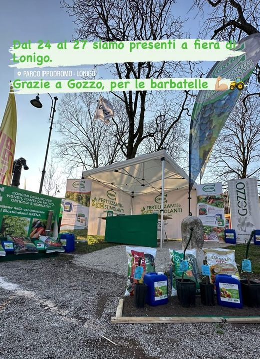 The Lonigo fair begins We are waiting for you from