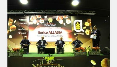 Piedmontese hazelnut growing, increasingly attentive to soil nutrition