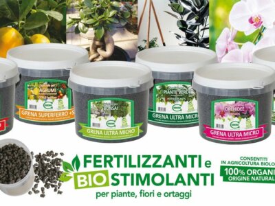 Tempo di trapianti e di prepara il tuo giardino o