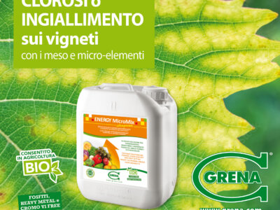 Img ENERGY rimedio ingiallimento Vigneto