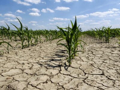 La sécheresse réduit elle vraiment l'infiltration de l'eau dans le sol