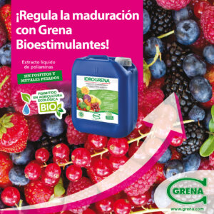 News IDROGRENA ¡Regula la maduración con Grena SPA