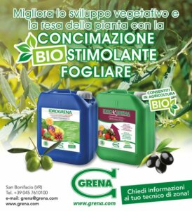 VERBESSERN SIE DIE VEGETATIVE ENTWICKLUNG und den PFLANZENERTRAG mit Biost Düngung