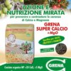 La fertilización poscosecha permite la absorción de sustancias que irán