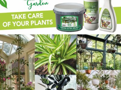 TAKE CARE OF YOUR HOUSE PLANTS! to better support the