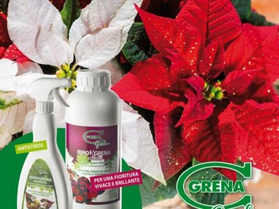 Christmas is coming for your plants too! The easiest way