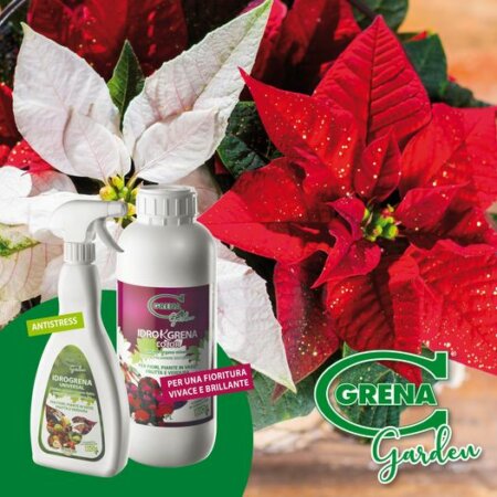 Christmas is coming for your plants too! The easiest way