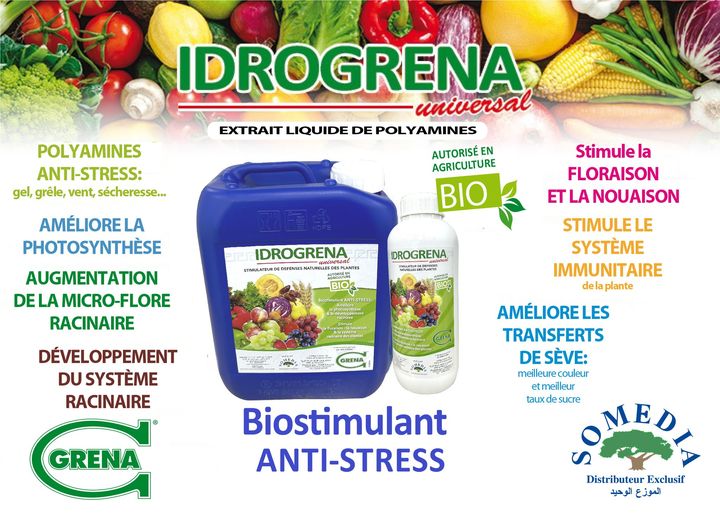 HIDROGRENA