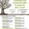 Esta tarde en el "Curso de olivicultura y calidad del