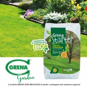 How and when to fertilize the lawn? GRENA STARTER is
