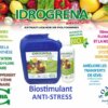 IDROGRENA