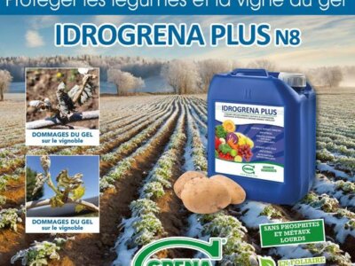Idrogrena Plus N8 pour protéger les légumes et la vigne