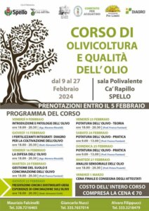 This evening at the "Oliviculture and oil quality course" in