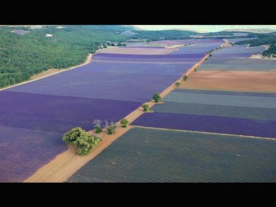 GRENA Lavanda en Provenza