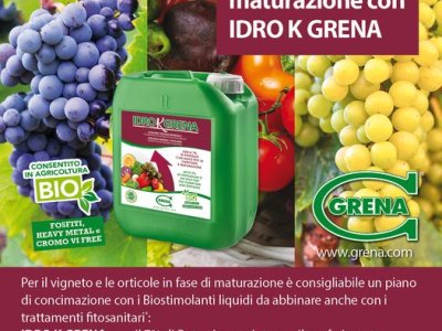 Improve ripening with IDRO K GRENA! For the vineyard and