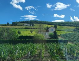 Laura Magagna visitant les vignobles de la region de Lyon