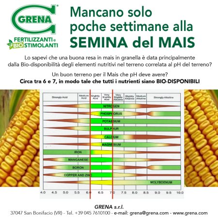 Mancano solo poche settimane alla semina del MAIS Hai già