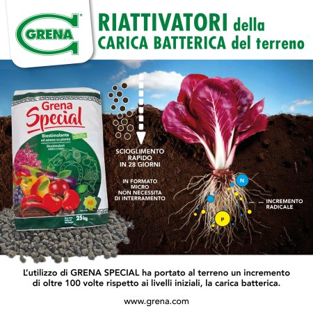 Test Riattivazione Carica Batterica GRENA SPECIAL