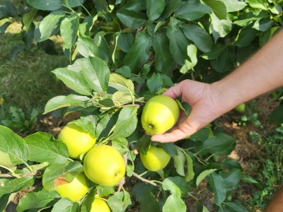 We visited the Capelli distributor in Tirano (SO), where the