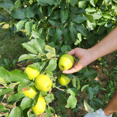 We visited the Capelli distributor in Tirano (SO), where the